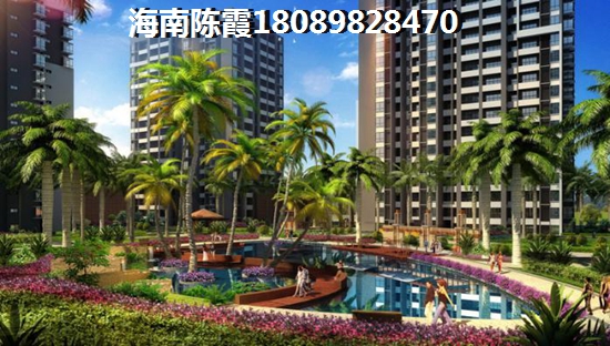 御庭春茶叶