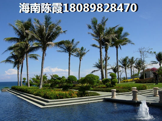 御庭春MOMA白金 建筑规划 御庭春MOMA白金海岸公寓空中鸟瞰区域规划图